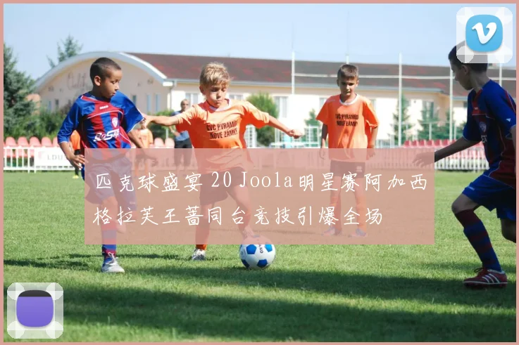 匹克球盛宴 20 Joola明星赛阿加西格拉芙王蔷同台竞技引爆全场